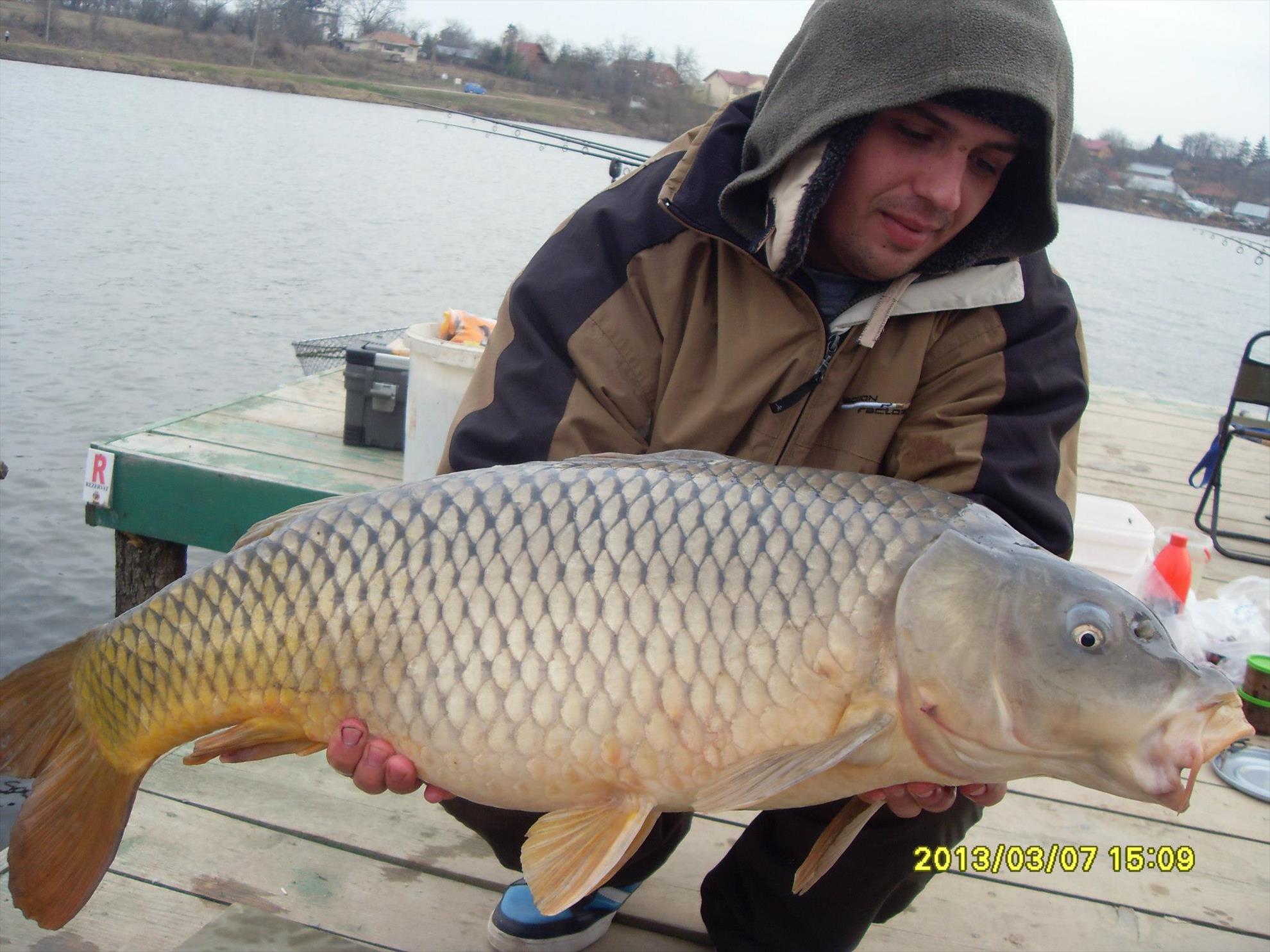 Crapturi - 860009351794914935899366726508o.jpg